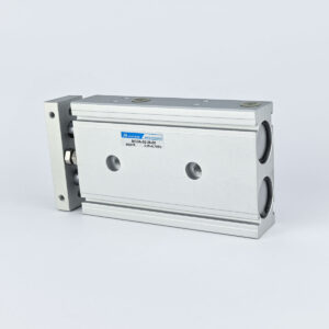 DUAL ROD CYLINDER DOUBLE ACTING 25 X 60 MINDMAN
