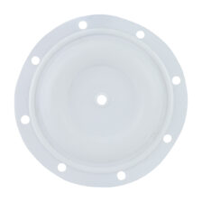 PTFE DIAPHRAGM 1" PP BSK