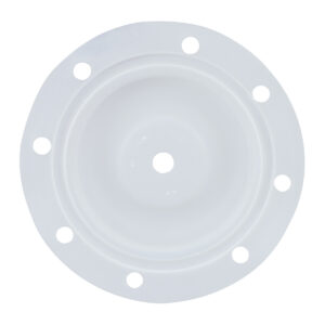 PTFE DIAPHRAGM 2" BSK