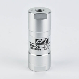 CHECK VALVE 1/8" CPT