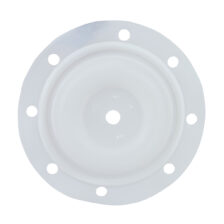 PTFE DIAPHRAGM 1.5" BSK
