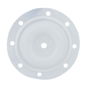 PTFE DIAPHRAGM 1.5" BSK