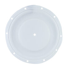PTFE DIAPHRAGM 1/4" BSK