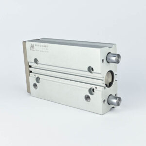 TWIN GUIDE CYLINDER DOUBLE ACTING 20 X 100 MINDMAN