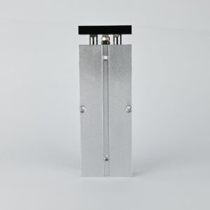 TWIN GUIDE CYLINDER DOUBLE ACTING 20 X 100 MAGNETIC CPT