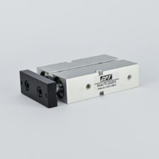 TWIN GUIDE CYLINDER DOUBLE ACTING 25 X 25 MAGNETIC CPT