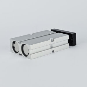 TWIN GUIDE CYLINDER DOUBLE ACTING 20 X 25 MAGNETIC CPT