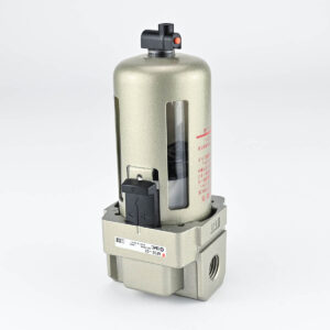 FILTER RC 1/4" - 30 SMC