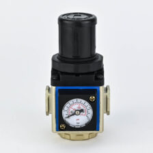 REGULATR 1/4" WITH GAUGE A-CPT