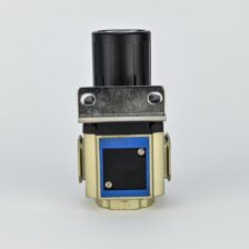REGULATR 1/2" WITH GAUGE A-CPT
