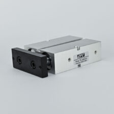 TWIN GUIDE CYLINDER DOUBLE ACTING 20 X 20 MAGNETIC CPT