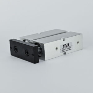 TWIN GUIDE CYLINDER DOUBLE ACTING 20 X 20 MAGNETIC CPT